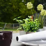 Tiny Haus Eisvogel By Interhome *