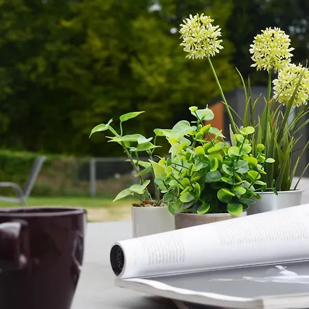 Tiny Haus Eisvogel By Interhome *